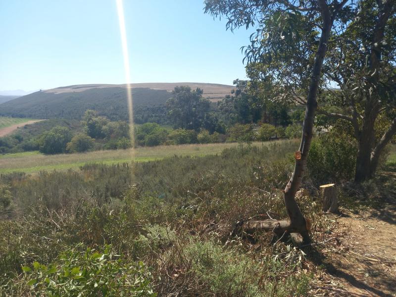 0 Bedroom Property for Sale in Bot River Western Cape